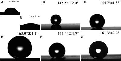 Facile Fabrication and Properties of Super-hydrophobic MgAl-LDH Films With Excellent Corrosion Resistance on AZ31 Magnesium Alloy